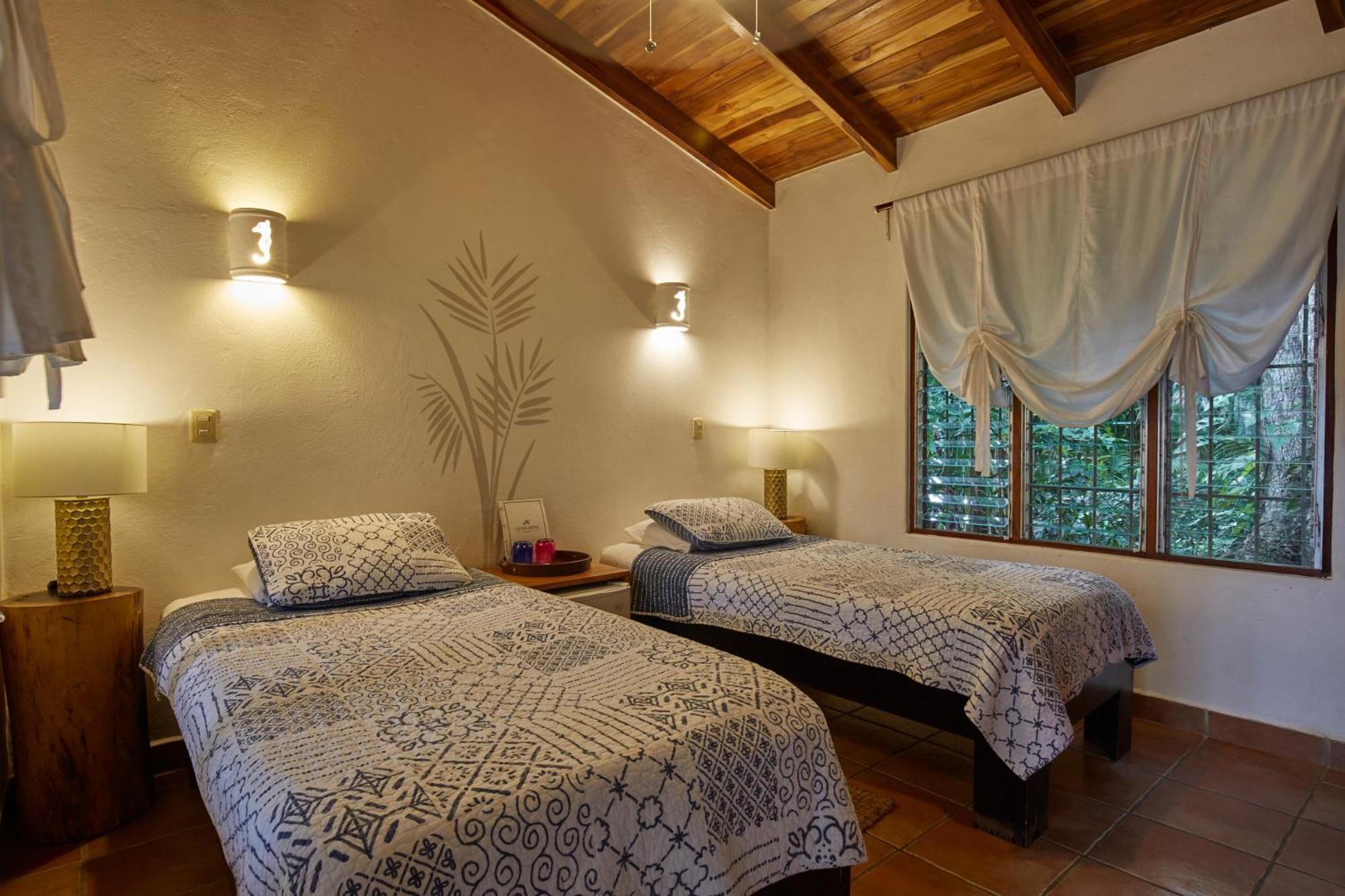 Living Hotel Nosara Oda fotoğraf