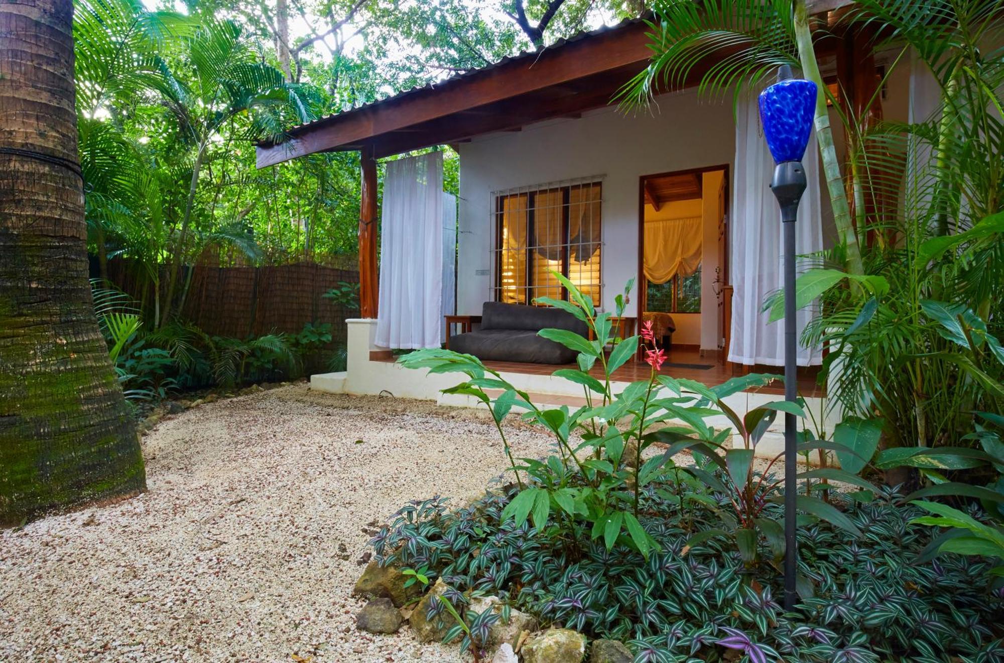 Living Hotel Nosara Oda fotoğraf