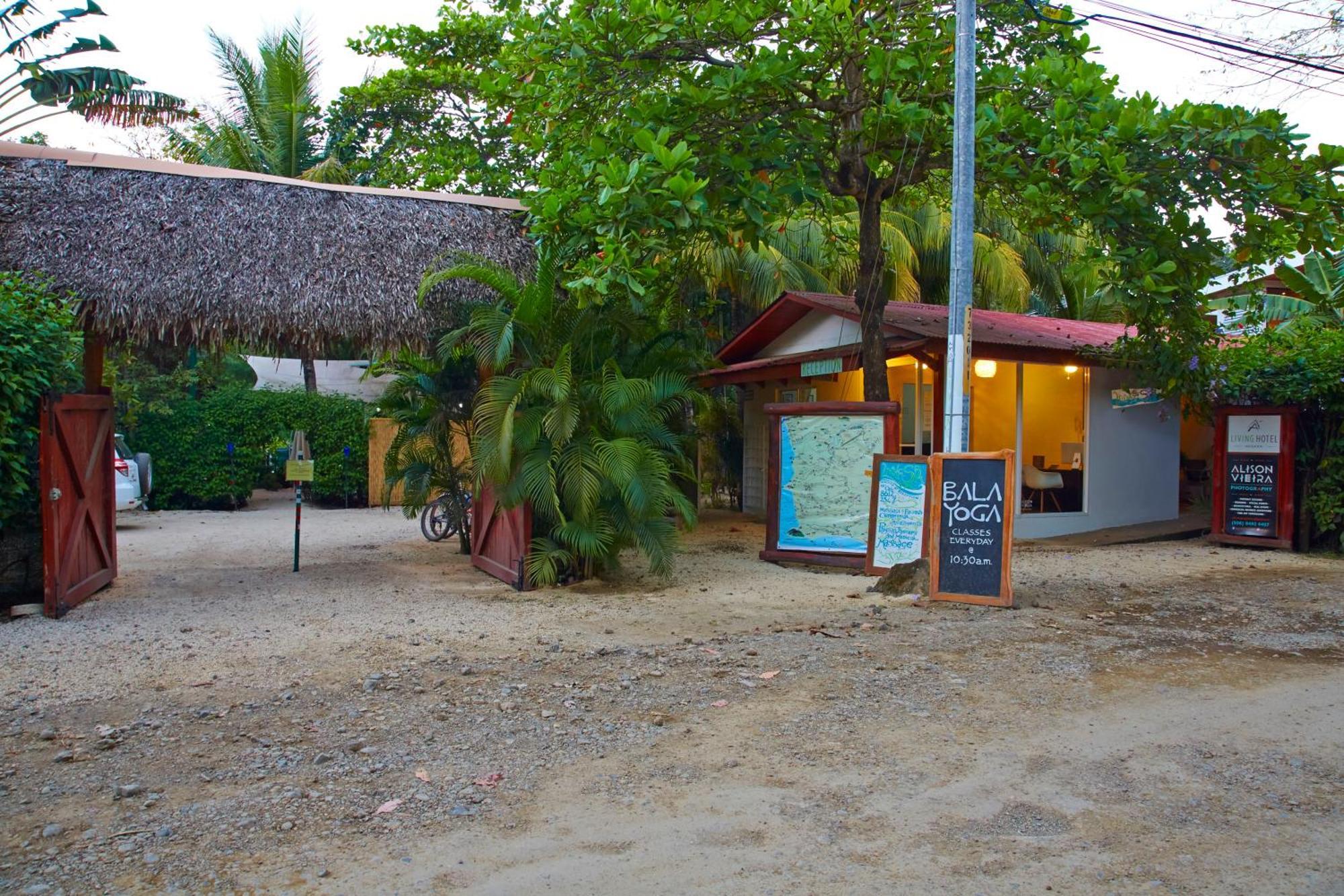 Living Hotel Nosara Oda fotoğraf