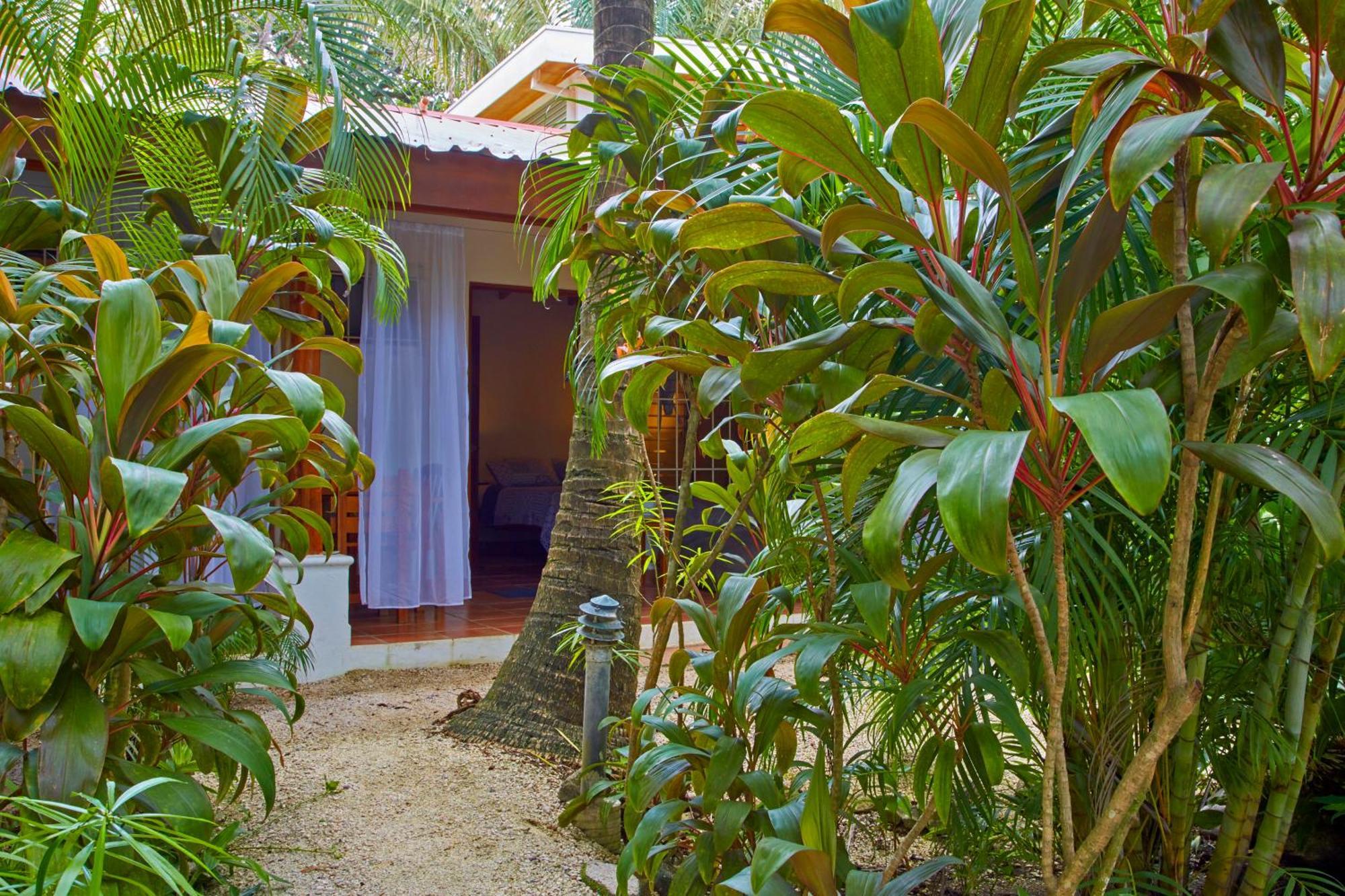 Living Hotel Nosara Oda fotoğraf