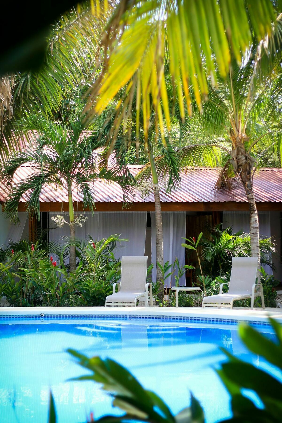 Living Hotel Nosara Dış mekan fotoğraf